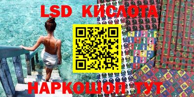 ГАЛЛЮЦИНОГЕННЫЕ ГРИБЫ Кандалакша