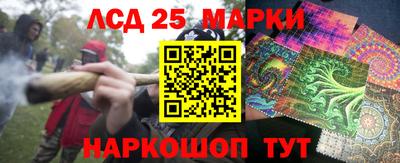 ГАЛЛЮЦИНОГЕННЫЕ ГРИБЫ Кандалакша