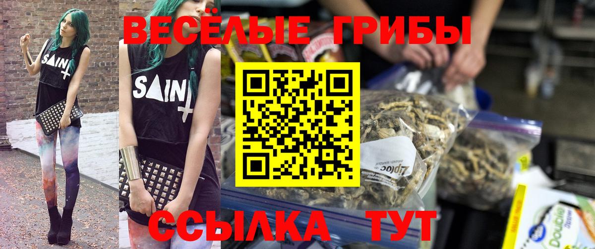 Псилоцибиновые грибы Psilocybine cubensis Кропоткин